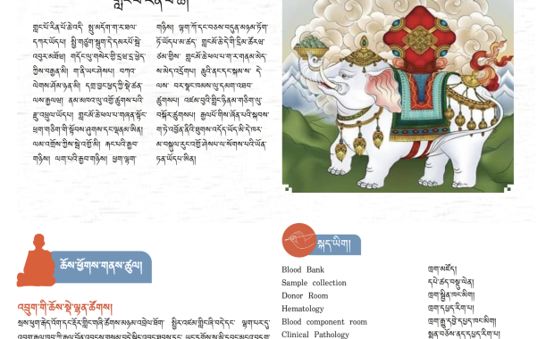སྐད་ཡིག་དང་ལམ་སྲོལ།